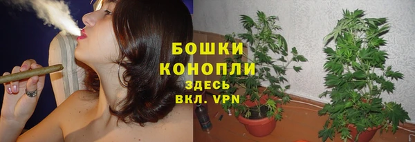 дживик Сосновоборск