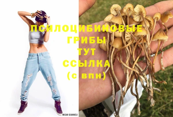 дживик Сосновоборск